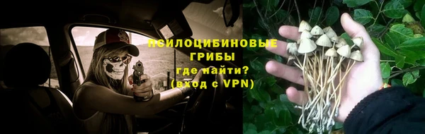 прущая мука Алексин