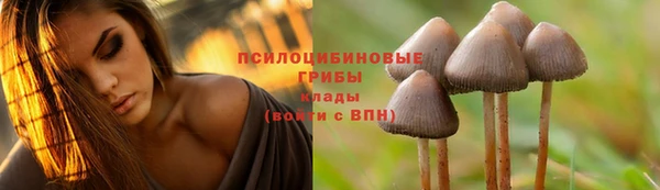 СК Алзамай
