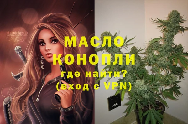 СК Алзамай