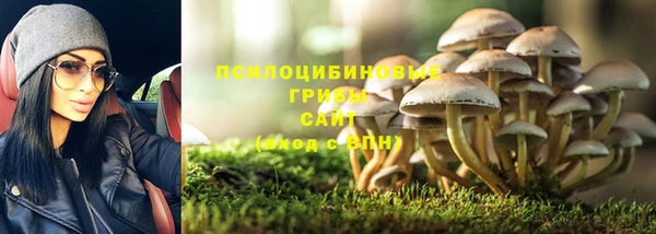 СК Алзамай