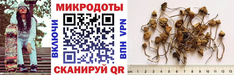 Псилоцибиновые грибы MAGIC MUSHROOMS  Завитинск 