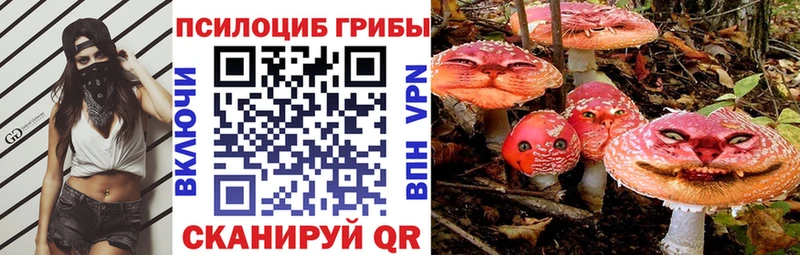 Галлюциногенные грибы Psilocybine cubensis Завитинск
